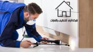 شركة مكافحة حشرات برأس الخيمة