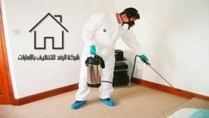 شركة مكافحة حشرات بالعين