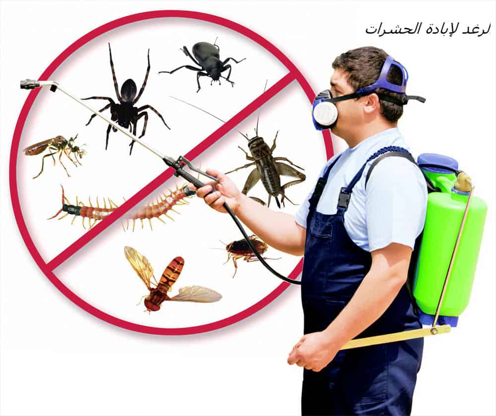 شركات مكافحة الحشرات في ابوظبي