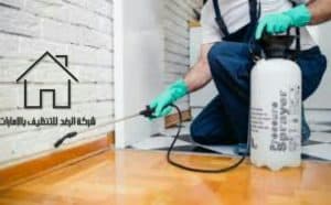 شركة مكافحة حشرات بالفجيرة